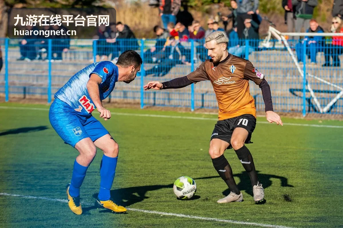 精选内容盘点合集封面